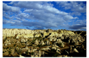 Goreme National Park and the Rock Sites of Cappadocia